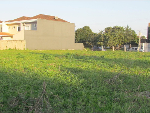 Imagem 4 de 4 de Terreno Joinville - 554