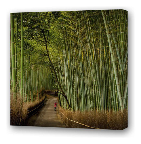 Cuadro 30x30cm Bosque Bambu Japón Caminata Relajante