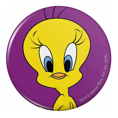 Looney Tune Tweety Pajaro Pinback Boton Pin