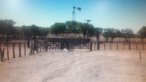 Imagen 8 de 15 de Terreno Campo En Venta Ubicado En La Maruja, Rancul