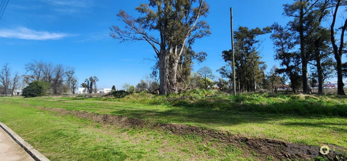 Terreno / Lote En Venta En El Polo Industrial De General Rodríguez