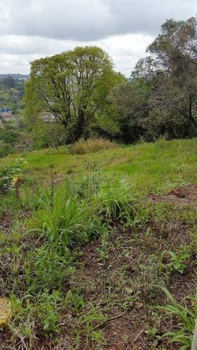 Imagem 4 de 9 de Terreno À Venda, 5488 M² - Condomínio Jardim Primavera - Louveira/sp - Te1854