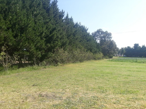 Imagen 2 de 25 de Campo,ideal Complejo De Cabañas. En La Peregrina. Oportunidad!