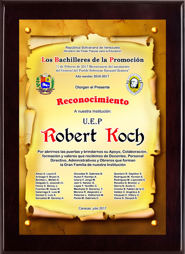 Imagen 5 de 10 de Placas De Reconocimiento En Sublimación