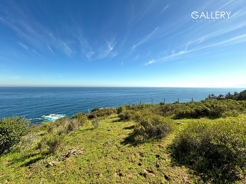 Vista Panorámica Al Mar, Zapallar Norte