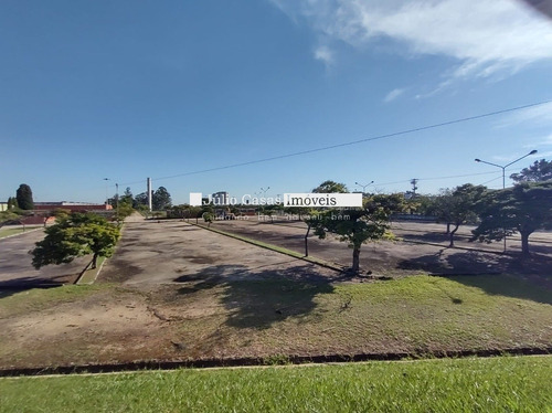 Imagem 4 de 15 de Galpao - Jardim Tatiana - Ref: 32442 - V-32442