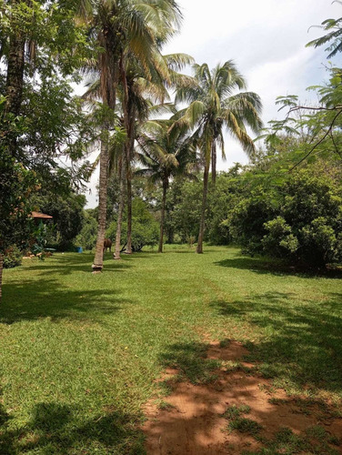 Sitio - Pereiras/sp - 12.000 Mil Metros - R$ 400.000,00