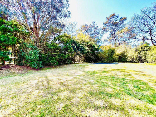 Imagen 20 de 20 de Excelente Casa En Venta En Pinares