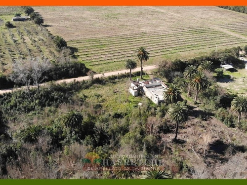 Imagen 4 de 26 de Venta De Chacra 3 Has En Melilla, Montevideo
