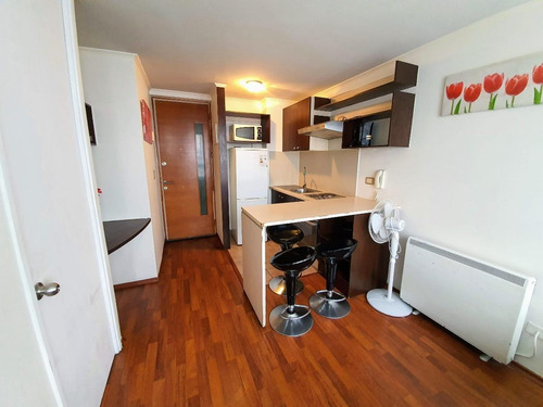 Amoblado 1 Dormitorio Metro Santa Isabel