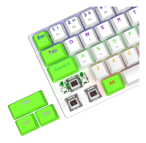 Imagen 7 de 7 de Teclado T-dagger T-tgk321-gw-br Arena White/green Sw Brown *