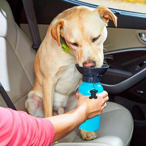 Bebedero Portátil Para Perros Aqua Dog | Cuotas sin interés