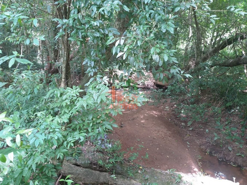 Imagem 12 de 13 de Chacara - Ref: 7066 - V-7066
