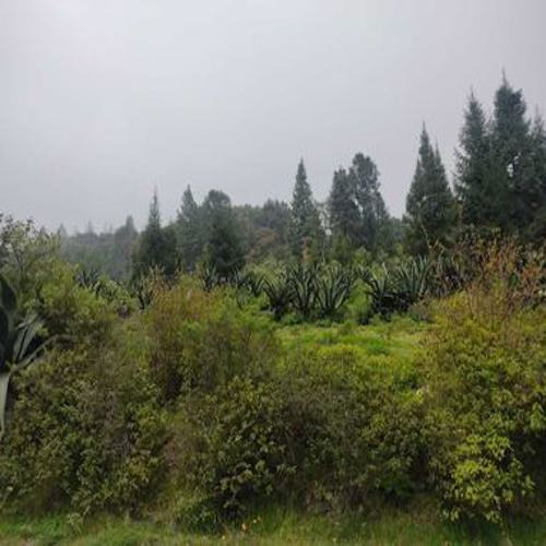 Excelente Terreno En Sta. Rosalia , Mineral Del Monte