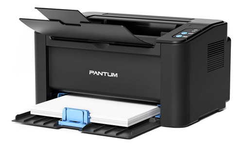 Pantum P2502 W Impresora Laser Monocromo Blanco Y Negro Ina