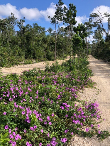 Terrenos Ecológicos En Venta Tulum
