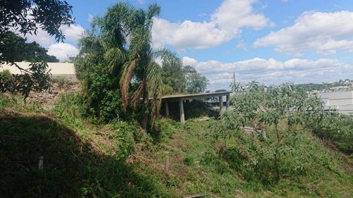 Imagem 1 de 6 de Terreno - Colina Sorriso - Ref: 8480 - V-8480