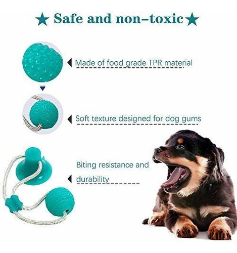 Wxhny Dog Rrtoys Suministros Para Mascotas Juguetes Interact