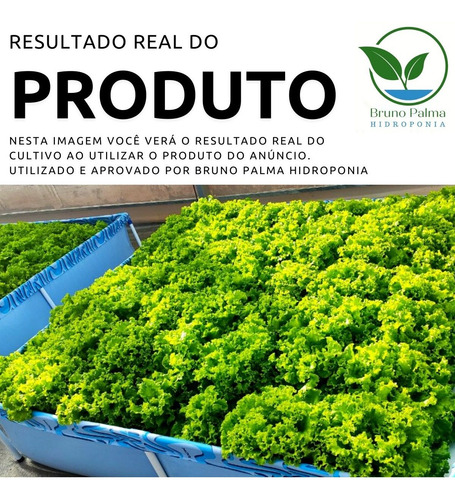 Imagem 5 de 7 de Kit Nutrientes Para Hidroponia 1000 Litros - Alface
