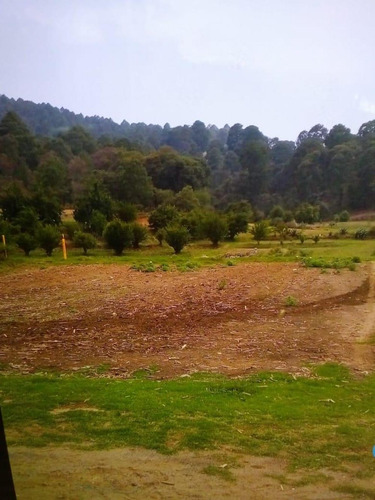 Terreno En Venta San Felipe Hidalgo Municipio De Tlaxcala