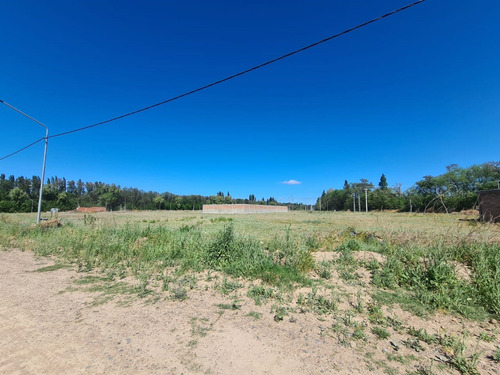 Imagen 10 de 13 de Re/max Vende Terreno En Loteo La Alicia Plottier