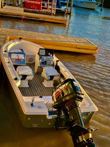 Lancha Regnicoli Fishing 475 Mercury 50hp Con Opcionales