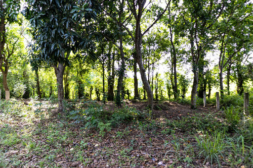 Terreno En Venta Sobre La Carretera Federal
