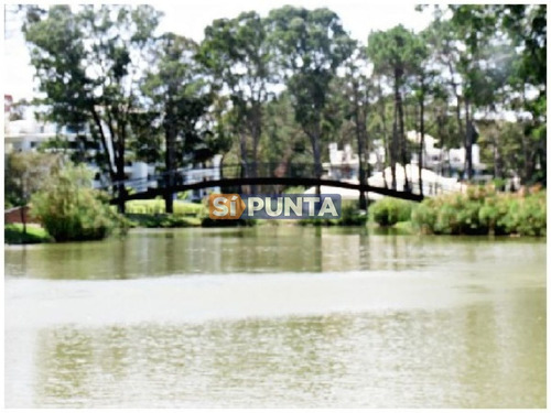 Imagen 29 de 30 de Apartamento En Alquiler Anual