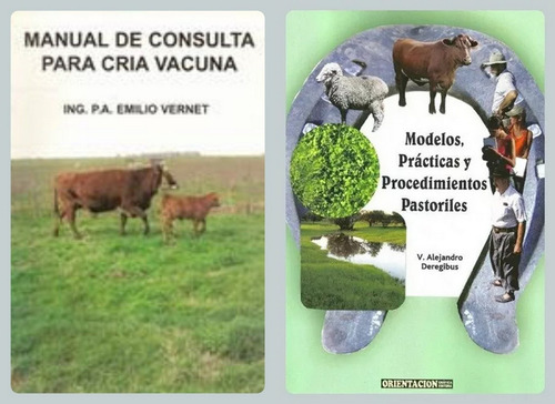 Consulta Cría Vacuna + Modelos Y Prácticas Pastoriles