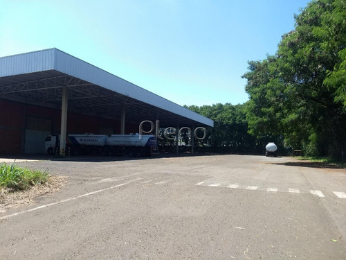 Imagem 11 de 28 de Galpão Para Aluguel Em Betel - Ga028372