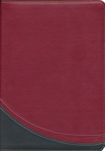 Biblia En Orden Cronológico - Reina Valera 1960