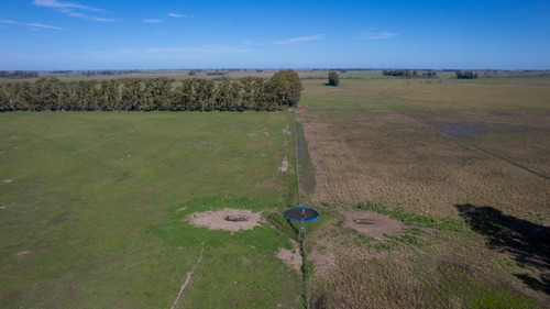 Campo En Venta Mixto 188ha San Andres De Giles