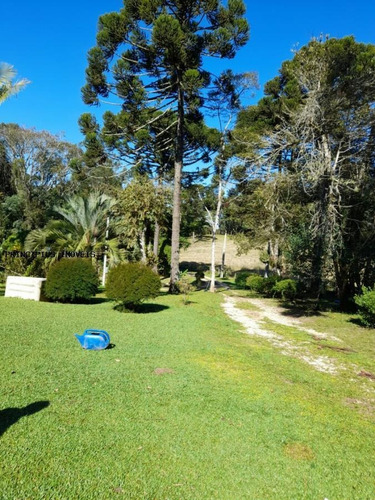 Imagem 12 de 15 de Chácara Para Venda, Timbu Velho, 4 Dormitórios, 1 Suíte, 2 Banheiros, 4 Vagas - 00301_2-1193112