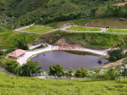Imagem 5 de 30 de Sítio/haras Com 150 Mil M² Em Sapucaia, Rio De Janeiro. - St00193 - 69409944