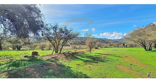 Parcela 1,5 Ha. Casa 3d, Orozco, Quilpué