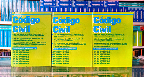 Código Civil Edición Actualizada Año 2024 ( Original)