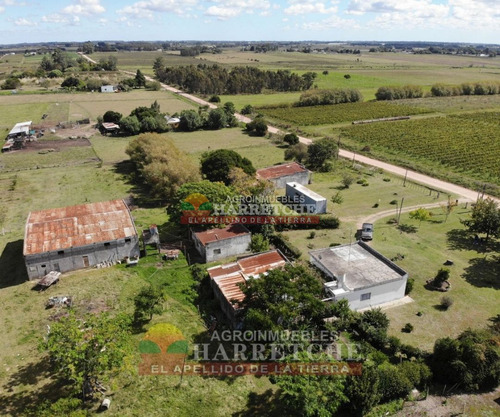 Imagen 9 de 30 de Chacra 10 Has En Venta Con Construcciones En Carrasco Del Sauce,