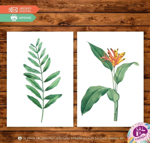 Laminas Para Cuadros Imprimibles Hojas Plantas - Modelo 3