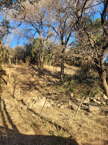 Terreno En Venta En Nono