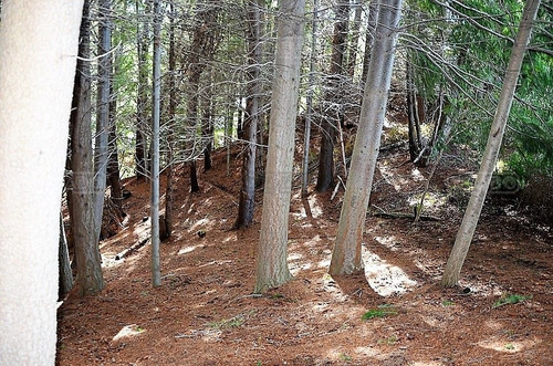 Terreno Fraccion En Venta Ubicado En Villa Lago Mascardi, Bariloche