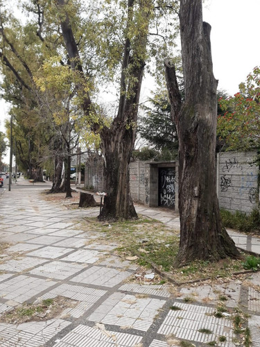 Imagen 5 de 8 de Lote Oportunidad Única En Ciudad Jardín Para Desarrollo Inmobiliario
