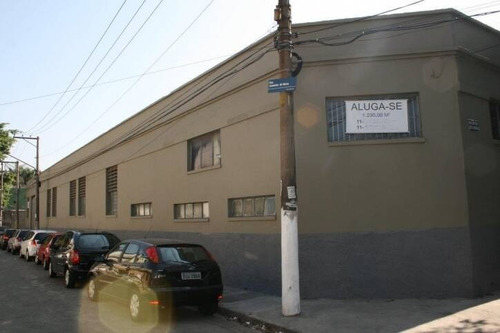 Imagem 10 de 13 de Galpão Av. Santa Marina 1.230m² - Oportunidade - Dp1201