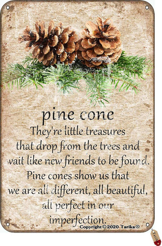 Pine Cone Are Little Treasur That Drop From The Tree And New