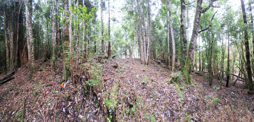 Terreno En Polincay Pto Montt, Conecta Con La Naturaleza