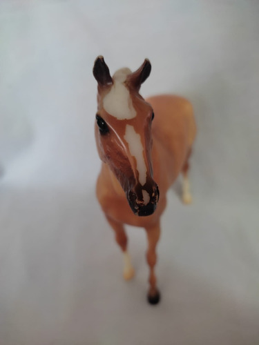 Imagen 6 de 6 de Caballo Breyer Molding 03