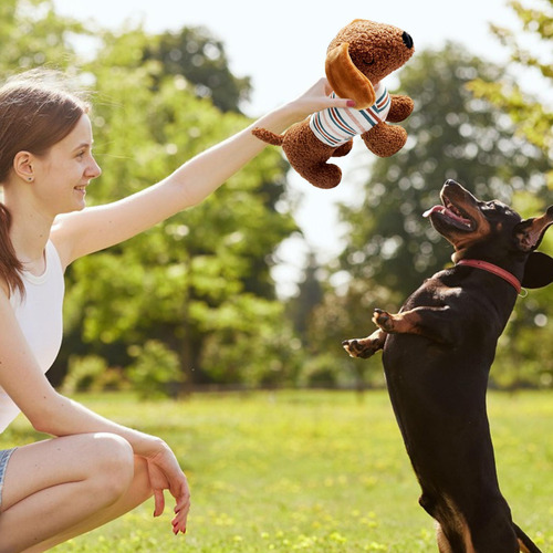 Toy De Peluche De Juguete Para Perros Chirriante Lujosos Jug
