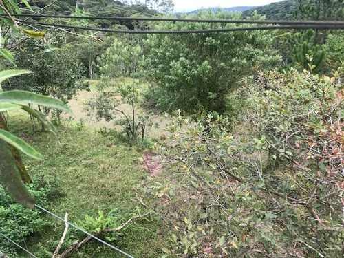 Imagem 17 de 21 de Rural Para Venda, 0 Dormitórios, Dos Pereiras (caucaia Do Alto) - Cotia - 2886