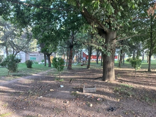 Imagen 20 de 29 de Venta, De Importante Fracciòn De 4 Has, Sobre Ruta Provincial 36.
