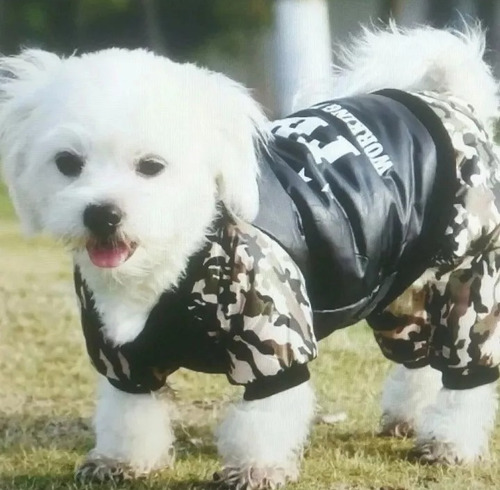 Ropita Para Mascotas Diseño Fbi,perros Minis Talle M