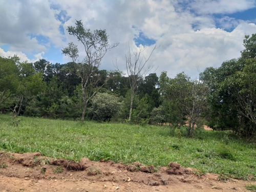 Imagem 5 de 8 de #v#h11- Lotes Para Construção De Fazenda